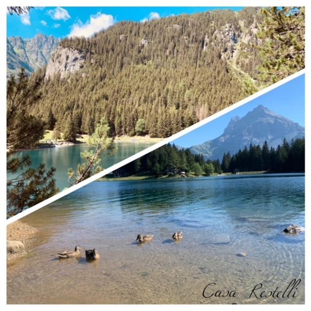 Casa Restelli Og - Nahe Andermatt Gotthard Гуртнеллен Экстерьер фото